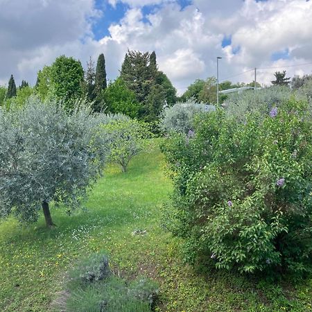 Happy Guest Apartments - Lake View And Pool Riva di Solto Exterior foto