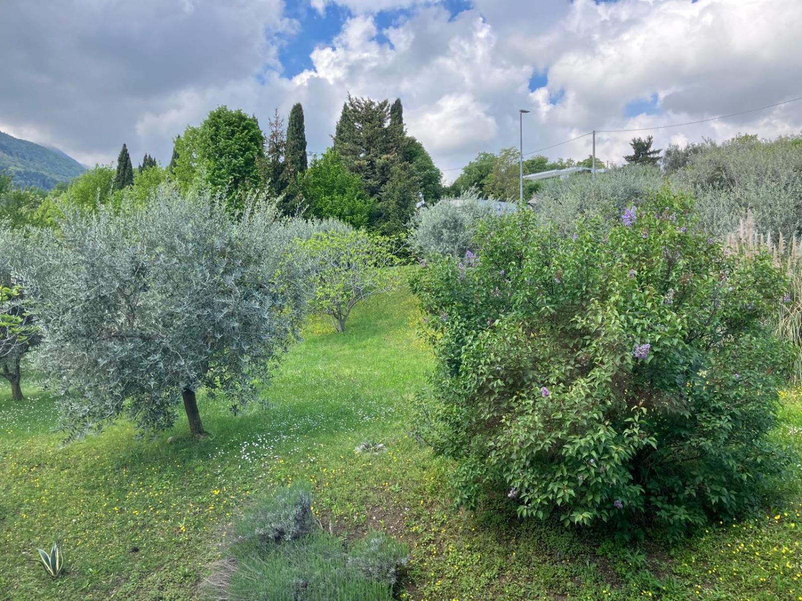 Happy Guest Apartments - Lake View And Pool Riva di Solto Exterior foto